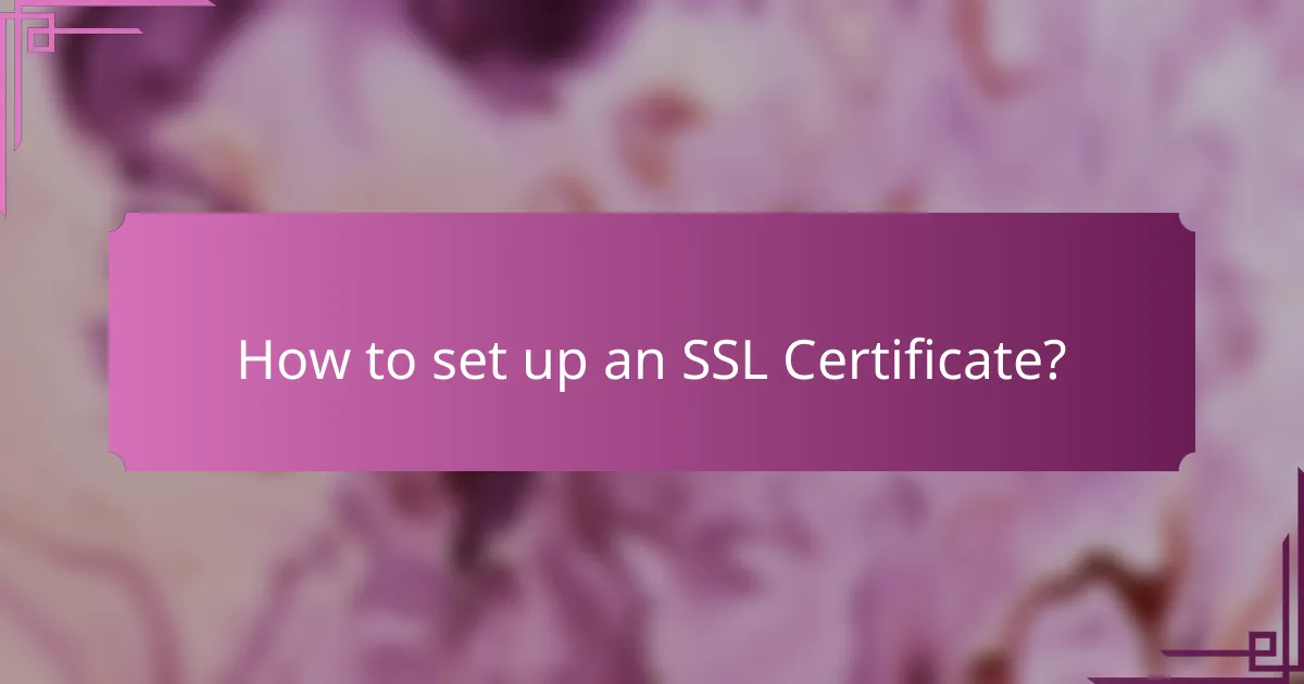 How to set up an SSL Certificate?