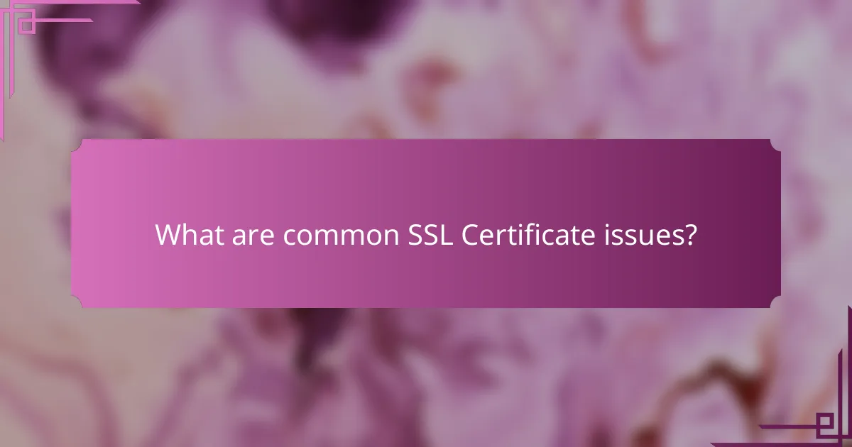 What are common SSL Certificate issues?