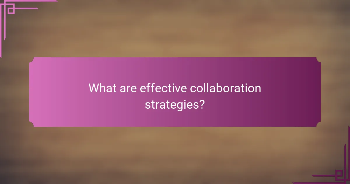 What are effective collaboration strategies?