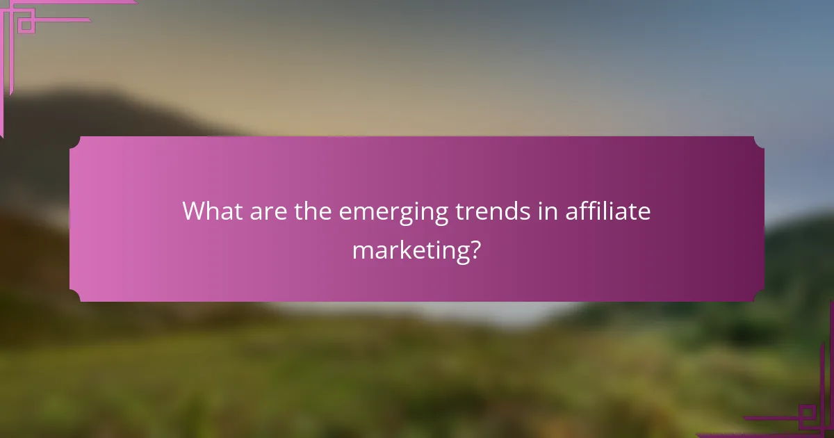 What are the emerging trends in affiliate marketing?
