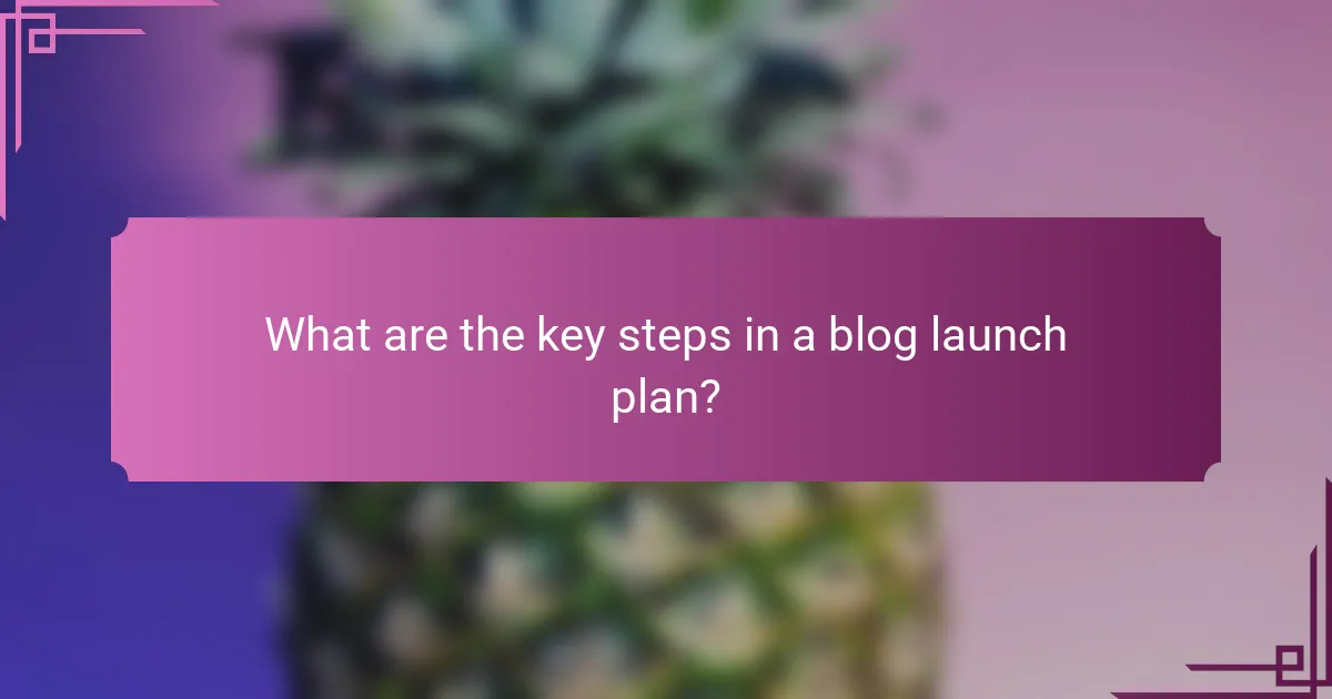 What are the key steps in a blog launch plan?
