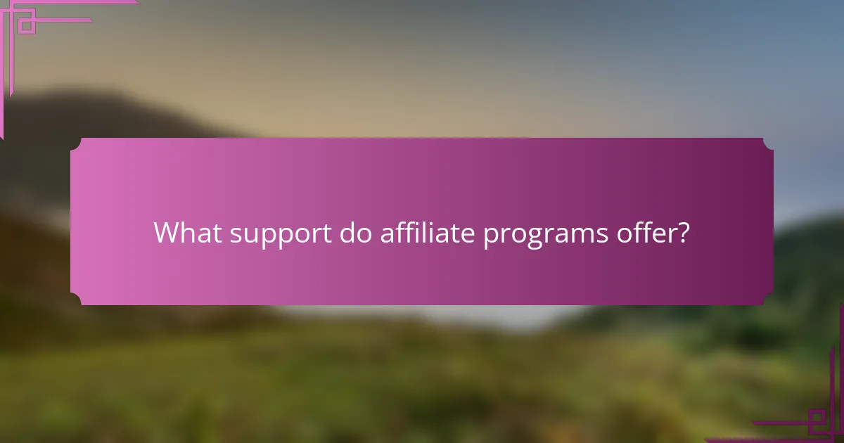 What support do affiliate programs offer?